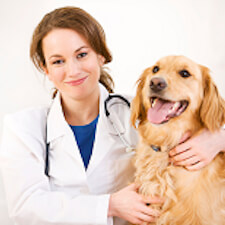 Covetrus Rapport Reviews